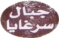 No. 32875